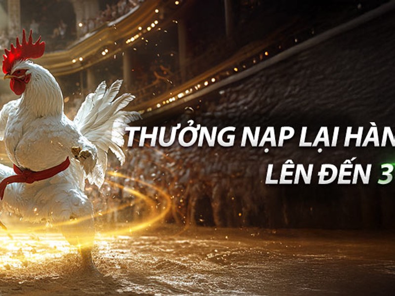 Hoàn Trả Hàng Ngày