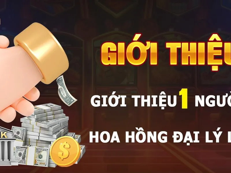 Chương trình hoàn trả và VIP
